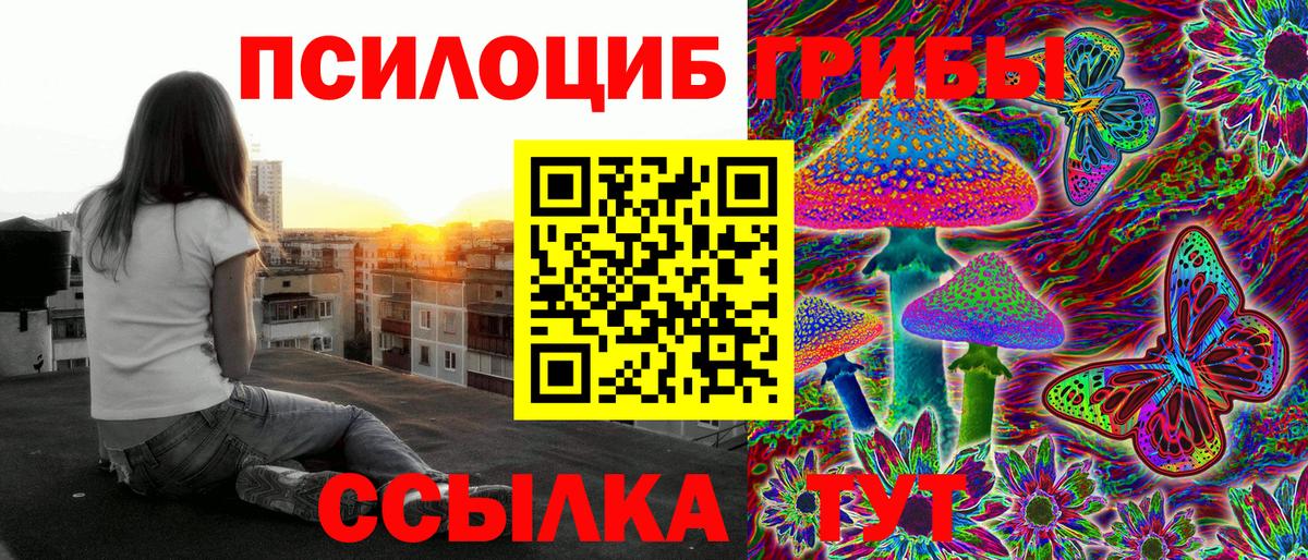 Галлюциногенные грибы Cubensis Славгород