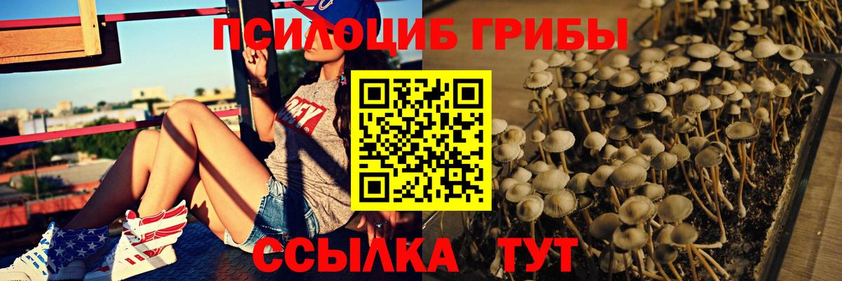 Славгород  Галлюциногенные грибы мухоморы  Вход с VPN 