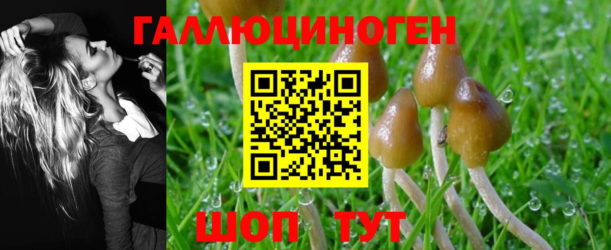 Галлюциногенные грибы мухоморы  как найти   Славгород  Галлюциногенные грибы Magic Shrooms 